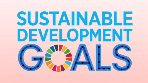 Sustainable Development Goals
